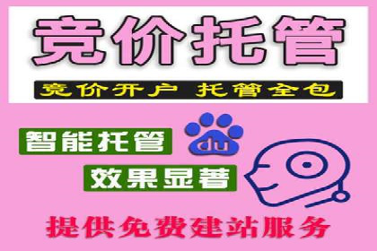 SEM网络推广案例：打造行业影响力品牌